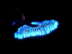 Heng Cheng Electronics Technology ((HK) Co.,Ltd